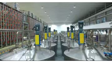 whole-process automation from raw material feeding to product filling