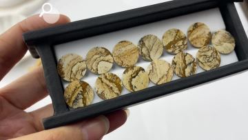 Picture Jasper QF-0200