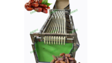 Palm Date Select Machine: Tangerine Sorting and Weight Grading Machine for Fruits1