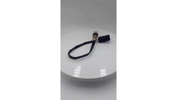 ВАЗ 1118- 1117 Automobile Oxygen Sensor