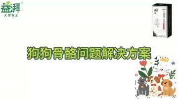 Pet Joint and Bone Supplements  dog