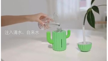 2022 Hot Cactus Humidifier 400 ml Small Mini Home Silent Air Purification Sprayer USB car humidifier1