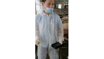 M6 ultrasound scanner