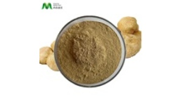 ISO Certified Manufacturer Organic Lion's Mane Mushroom Extract Powder1