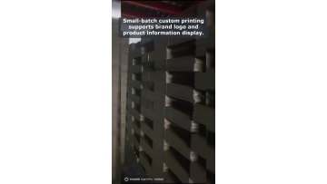 Video 40