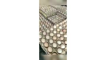 our quality of product
