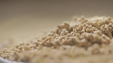 Introduction to Ginger Tea