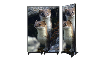 Big poster indoor 960mm 1920mm banners video wall