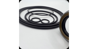 60-Swing Motor Seal Kit