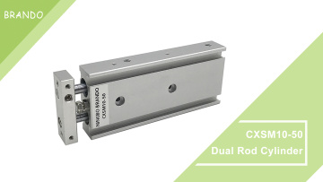 CXSM10-50 Dual Rod Pneumatic Air Cylinder