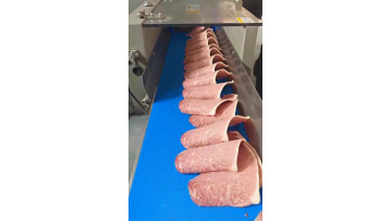  Frozen Meat Slicing Machine