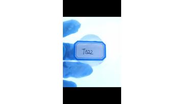 T522Kjellberg