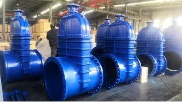 Gate Valve with Top Support Flange & Passby Valve1