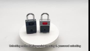 Smart Fingerprint pad lock DYF11