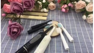 Battery Operated Timer Sonic Electric Toothbrush For Adults1
