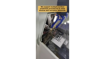Video 8