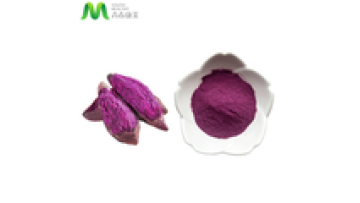 Youth Competitive Price Organic Purple Yam Sweet Potato Powder1