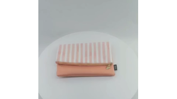 HSI A047190128AA Pastel Peach Striped Womens Accessory Handbag1