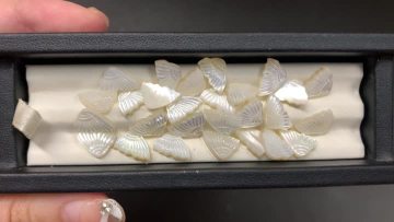 White Mother Of Pearl QF-0728