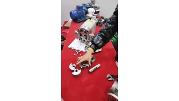 Stainless steel rotary pump Hygienic Rotor Pump Food Grade High Viscosity Liquid transfer pump1
