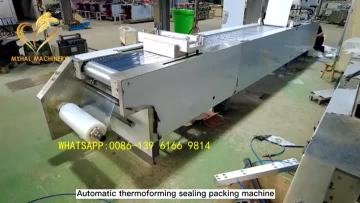  automatic single swab injector packing machine