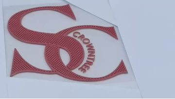 Hollowed-out 3D silicone transfer label