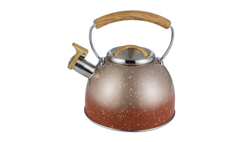 Stainless steel orange marble coating stove top kettle FH-662O