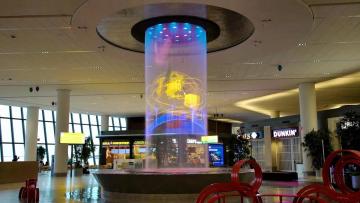 Cylindrical digital water curtain