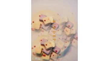 Probiotic Yogurt Block 01