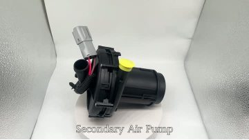 BJ-9219 Secondary Air Pump