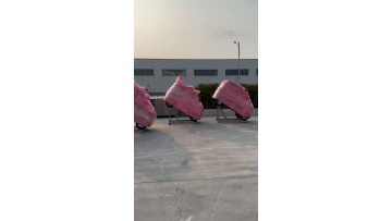 Premium Four-Wheel Electric Vehicles Delivered