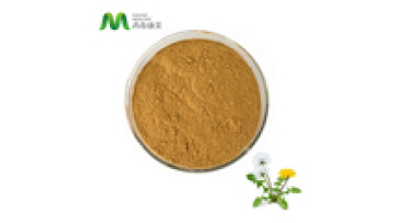 Chinese Supplier Organic Herbal Extract 3% Flavone Dandelion Root Extract Powder1