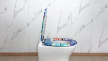 Fanmitrk Toilet Seat MDFDJ2511