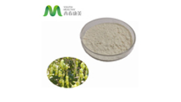 Haccp Certified Factory Supply Sophora Japonica Extract Genistein Powder1