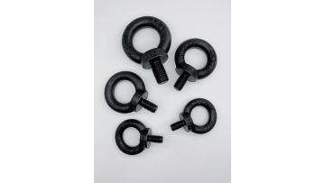DIN580 Lifting Eye Bolt