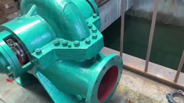 Energy saving double suction pump
