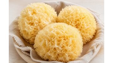 Silver Ear Fungus Foods
