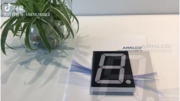Customized indoor or outdoor 7 segment LED display screen 4 inch single numeric display1