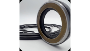 54-Swing Motor Seal Kit