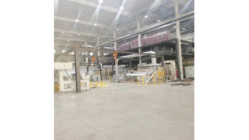Start up and operation of dual S production line
