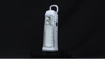 FA989 Outdoor Indoor Light