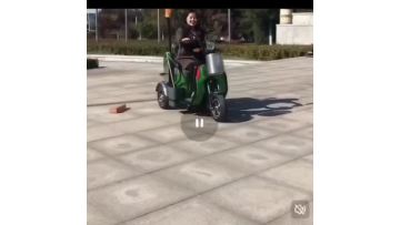 Small garbage collection and transportation tricycle