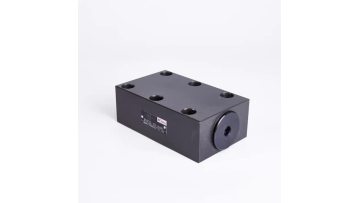 RVP25 Check valve