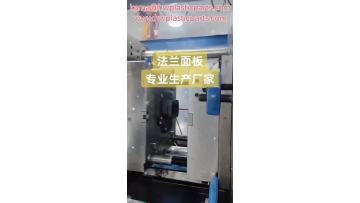 Flange injection molded panel