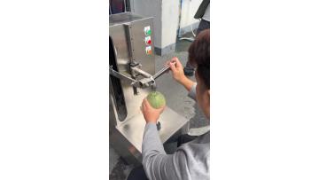 fruit vegetable peeling machine Pineapple Peeling Machine