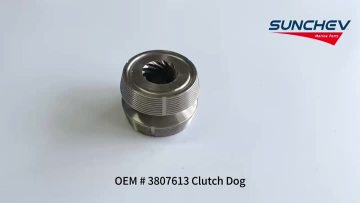3807613 Clutch Dog