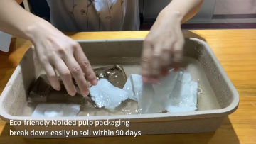 ECO friendly customized Biodegradable molded pulp packaging trays1