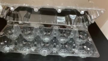 Plastic Egg Clamshell