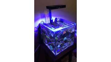 marine light A030