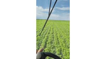  Precision spray